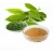 Green Tea Extract 2