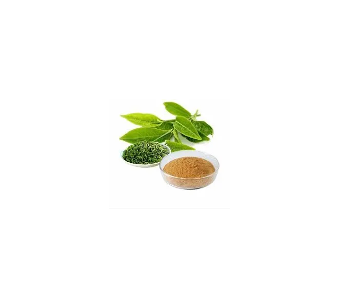 Green Tea Extract 2