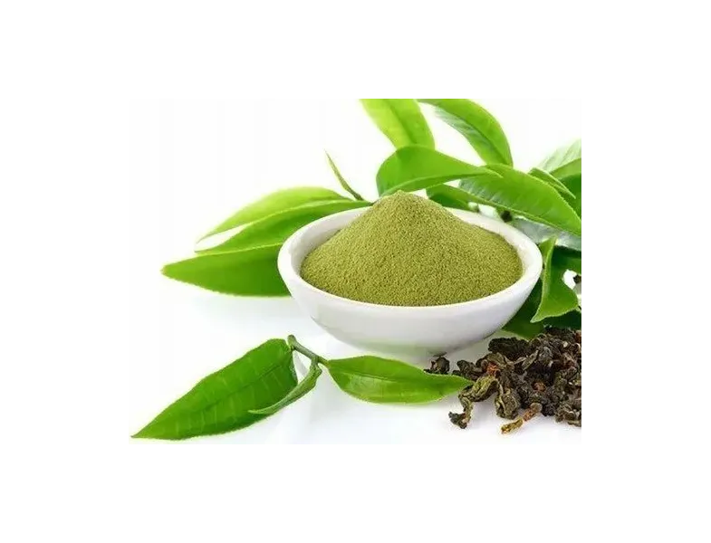 Green Tea Extract  